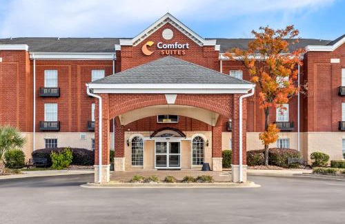 Sumter Hotel | Comfort Suites