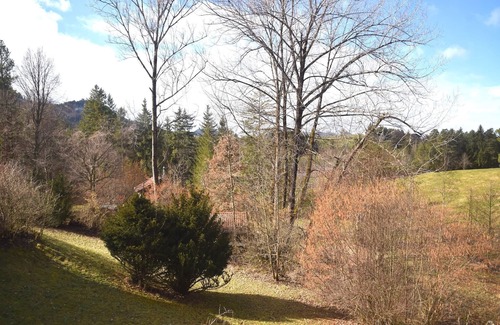 Schwarzenbach House | Comfort with Garden Views