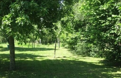 Brissac Loire Aubance Cottage | Comfortable independent gîte surrounded by vineyards near Brissac-Quincé