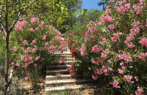 Massebœuf Apartment | Comfortable pied-a-terre, in Provence, private pool on large wooded grounds
