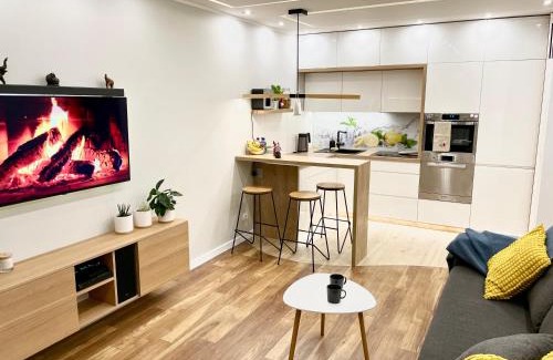 Stare Miasto Apartment | Comfortable Apart, Old Town, free parking, hanging bed, Wi-Fi, lift, aircon,self check-in 24h, Stare Miasto, winda, nowy budynek, garaż 0 zl, klima