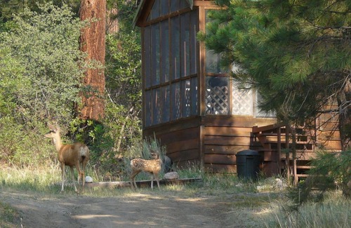 Durango - Purgatory Cabin | Comfortable Cabin in a quiet rural setting
