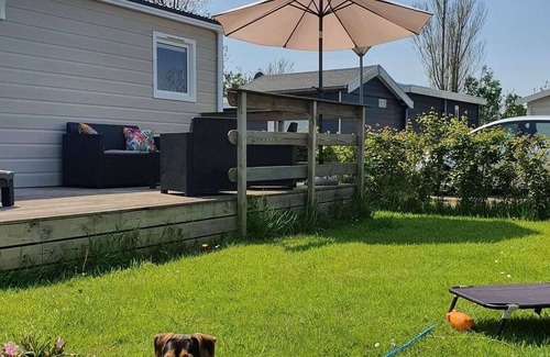 Hippolytushoef Ski Chalet | Comfortable chalet with dishwasher, near the Wadden Sea