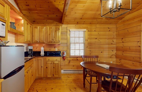 Northport Cabin | Comfortable dog-friendly cabin with fireplace & kitchenette near hiking trails