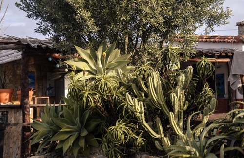 Assafora Apartment | Comfortable, Ground Floor Apartment with Garden View