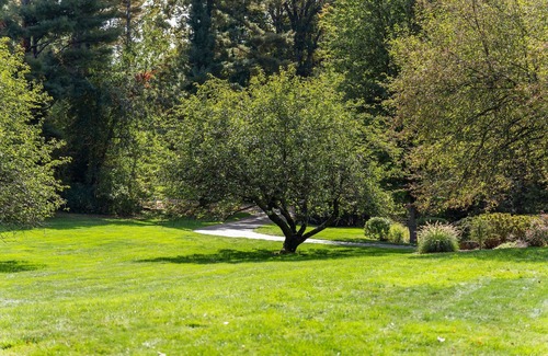 North Haven Apartment | Comfortable guest suite w/fire pit on gorgeous property -Pet Friendly!