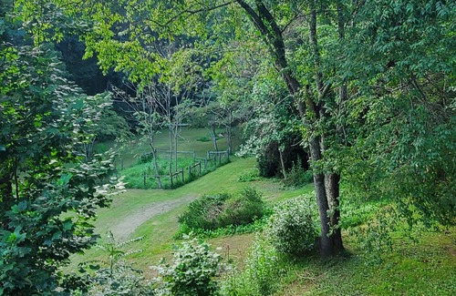 Syria House | Comfortable House Close To White Oak Canyon & Old Rag Trails