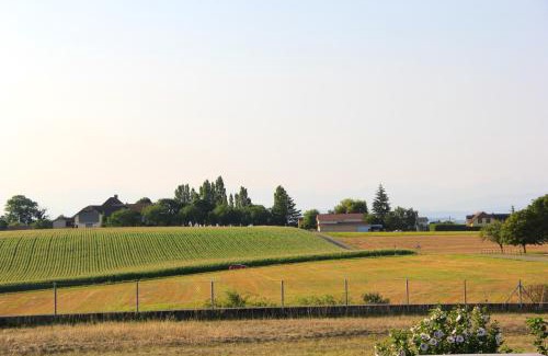 Bevaix Apartment | Comfortable studio in Bevaix with mountain view - 30 m² + Spa