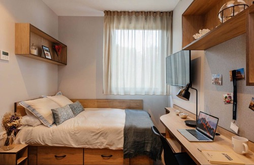 Deustuko San Pedro-Erribera Apartment | Comfortable Studio in the heart of Bilbao