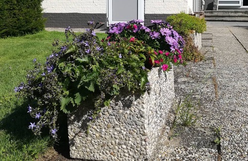 Rhenen Apartment | Comfortable Studio with bathroom and kitchenette