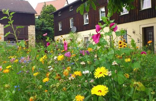 Weißig Apartment | Comfy Apartment in Weißig with Garden