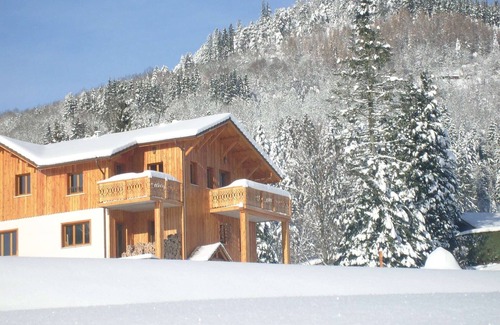 Le Thillot Apartment | Comfy chalet in the High Vosges