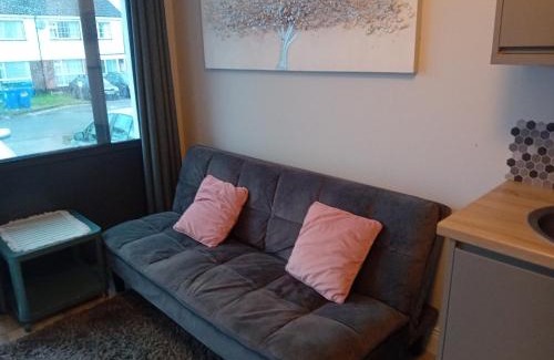 Annacotty Apartment | Compact one bed apartment near University of Limerick