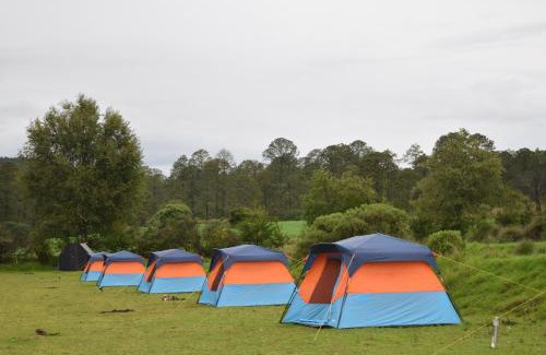Nanacamilpa Other | COMPLEJO DE HOSPEDAJE EN BOSQUE ECO REINO AVENTURA