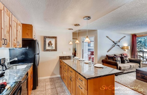Peak 9 Condo | Completely Renovated, Immaculate Condo. Steps Away from Downtown TE105