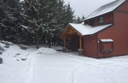Snowshoe House | Completely Renovated Treetop Townhome Next To Village and Slopes.