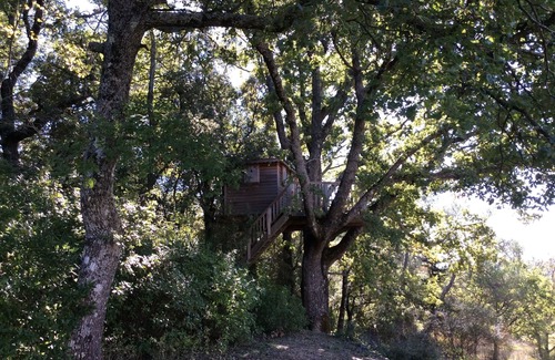 Barjols House | Completely restored bastide in Provence Verte.