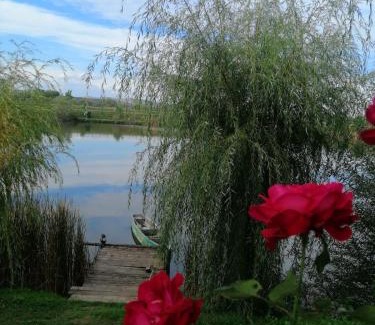 Ocna Mures Resort | COMPLEX AGREMENT BELLAVI