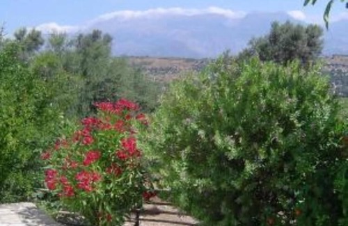 Kamilari Apartment | Complex of apartments & studio, full-equipped, in a large, beautiful garden