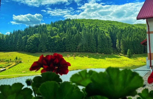 Valea Mare House | Complex Turistic Lughet