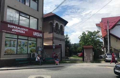 Curtea De Arges Villa | Conacul Simion