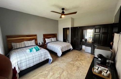 Zona Hotelera Apartment | Condo one or 2 bedrooms with lock off in San Jose del Cabo