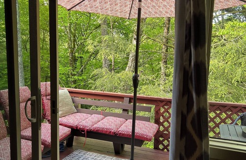 Sugar Mountain Condo | Condo with a true cabin vibe in Sugar Mountain!