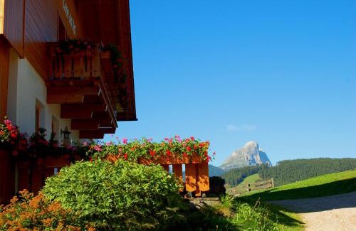 Mareo House | Cone da Val