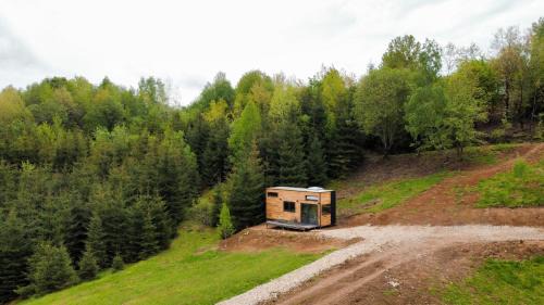 Vadu Crisului Other | Coniferis