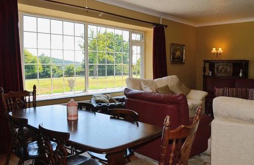 South Molton House | Conifers
