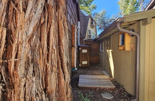 Potter Valley Apartment | Connect guesthouse