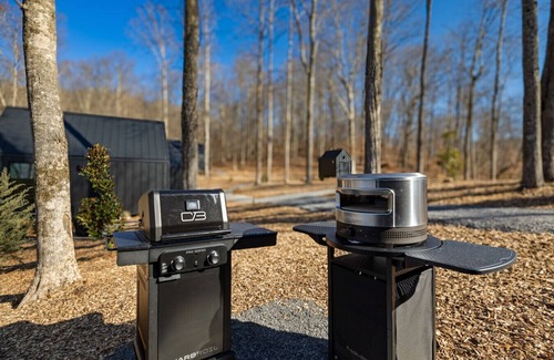 Almont Cabin | Constellation Cygnus Suite