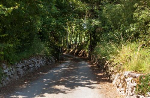 Dungarvan Bed & Breakfast | Coolcormack Stud B&B
