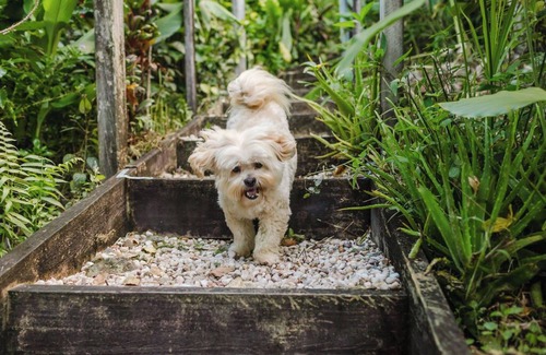 Sunshine Coast House | Coolum Beach 5mins Mountain views Pet friendly