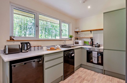 Toppesfield House | Copper Beech at Toppesfield Hall