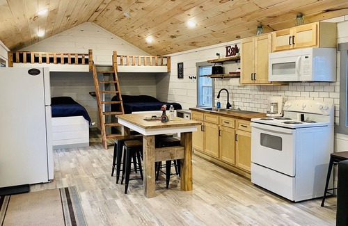 Winona Cabin | Copperhead Cabin #2. Direct trail access! Pet friendly