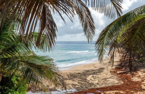 Puntas Villa | Coralina del Mar