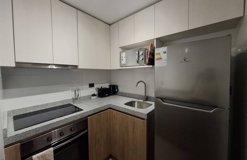 Concepcion Apartment | 📍Corazón de Concepción | Modern Ground Floor Apartment