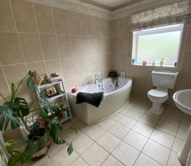 Leinster Bed & Breakfast | Corrig View