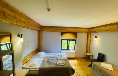 Bagvdanari Hotel | Cors in Mestia