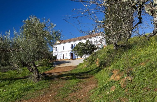 Villaviciosa de Cordoba House | Cortijo Isla Virgen. Un Paraje por Descubrir. Las Mascotas son Bienvenidas