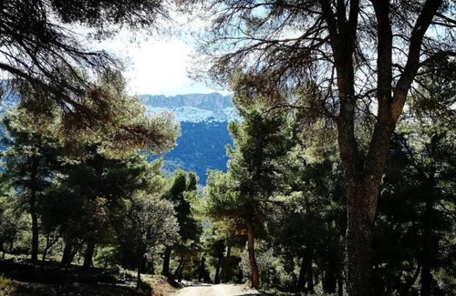 Velez Rubio Apartment | Cortijo la Estrella, Apartment 7