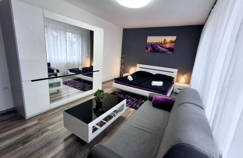 Sarospatak Apartment | COSMOPOLITAN Apartman
