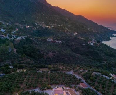 Vasilikos Villa | Cossoro Villas Zakynthos
