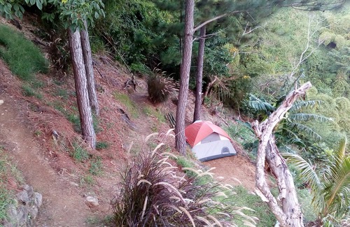 Blue Mountains National Park RV Rental | Cosy and secluded 6-Person Tent - Camping Blue Mountain Wilderness Retreat