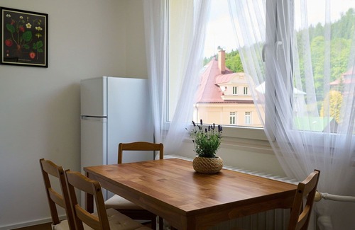 Josefov Dul Apartment | Cosy apartment for 6 guests with WIFI, TV, balcony and parking