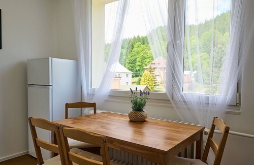 Josefov Dul Apartment | Cosy apartment for 6 guests with WIFI, TV, balcony and parking
