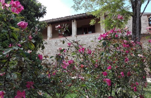 Colle di Val d'Elsa Villa | Cosy apartment in villa with pool, WIFI, TV, patio and panoramic view, close to San Gimignano