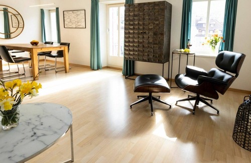 Nussbaumen Apartment | Cosy apartment for 4 guests with WIFI, TV, balcony and pets allowed