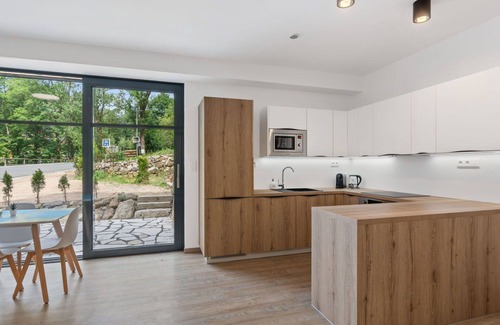 Janov nad Nisou Apartment | Cosy apartment for 4 people with WIFI, TV, terrace and parking